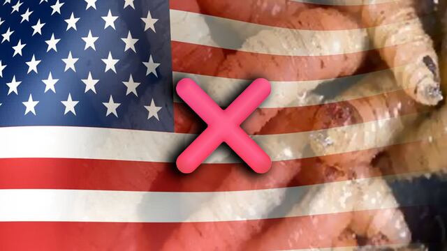 Bandera de Estados Unidos al fondo, emoji de error, y al frente varios gusanos barrenadores