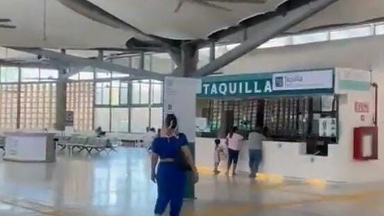 ¿Tren Maya estuvo vacío en Semana Santa 2025? Los videos que muestran la verdad