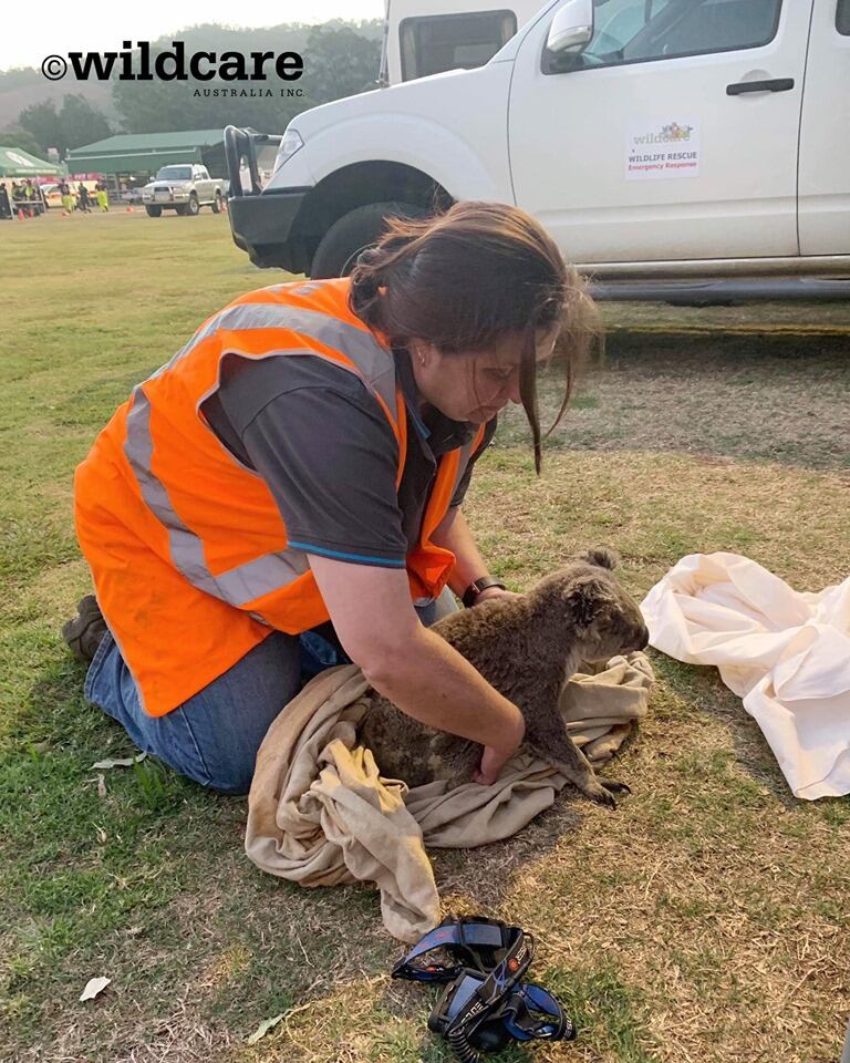 Los dos animales fueron los únicos que sobrevivieron al incendio, afirmó una policía que labora en la zona.