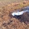 Río Tula se contaminó gracias a vandalismo contra Pemex; 100 mil litros de crudo se derramaron