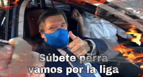 Memes Tigres