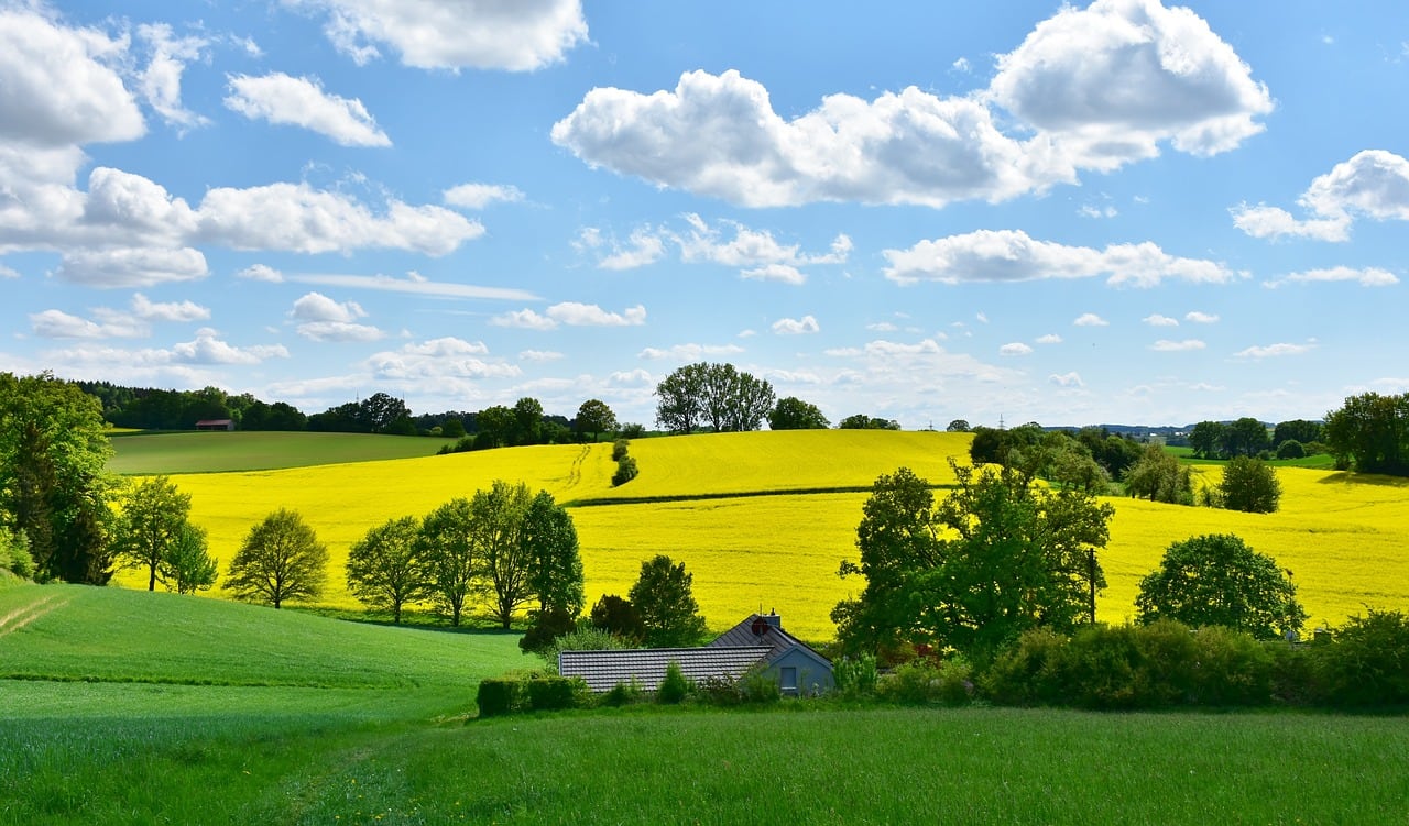 Primavera