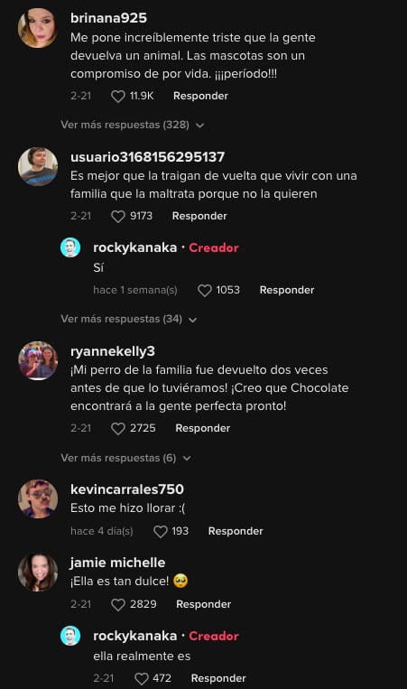 Usuarios reaccionan al video de la perrita que fue devuelta al refugio