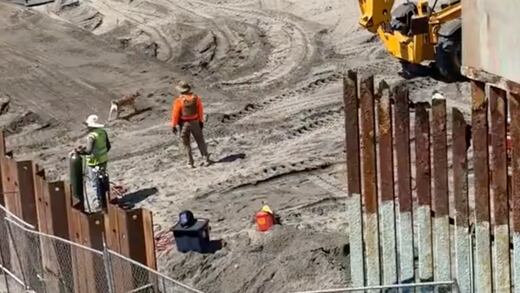 VIDEO: Mexicanos aprovecharon que reparaban el muro fronterizo en Tijuana; corrieron para cruzarlo, con todo y perro llamado Oso