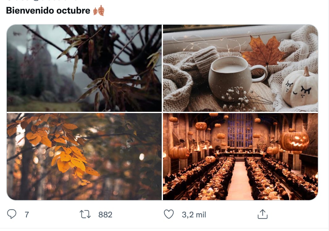 Memes de octubre y Halloween