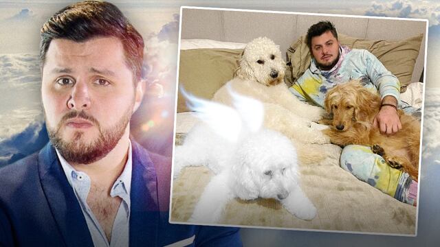 Uno de los perritos de Paul Stanley murió pero él no sabe nada en La Casa de los Famosos