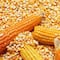 El precio de los granos lo fija el mercado global y no los agricultores: especialistas