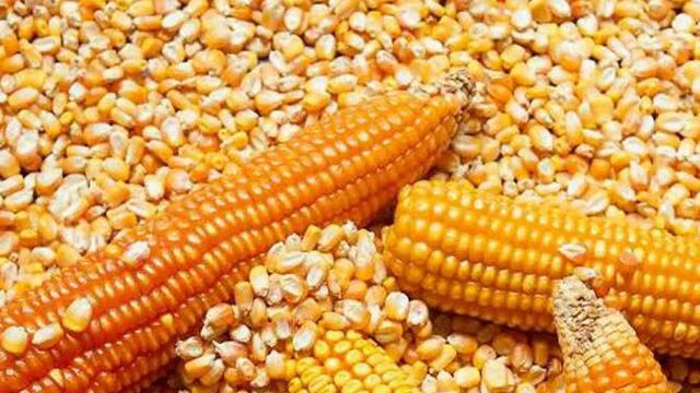 Mercado global determina aumento de precios en los granos