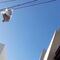 Avienta el pedido de su clienta y se le atora entre los cables