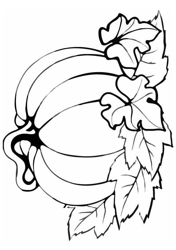 Dibujos bonitos de otoño para imprimir y colorear