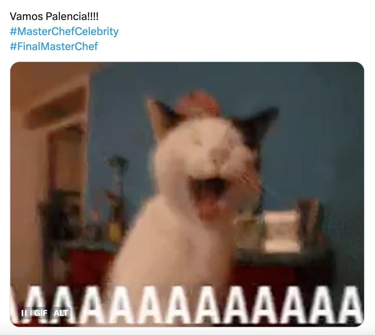 Meme de la final de MasterChef Celebrity 2023