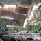 ¿Qué pasó en el Tramo 5 del Tren Maya? Tapan con madera acceso a caverna de Oppenheimer en cenotes de Aktun T’uyul