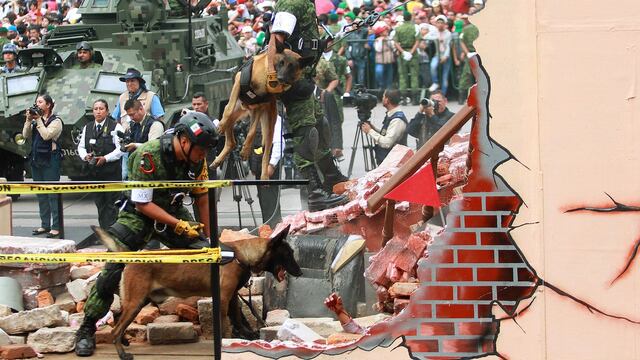 Carro alegórico sismo