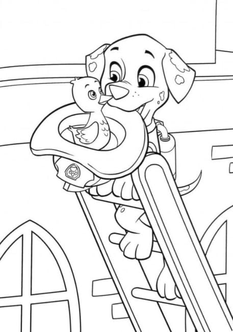 Marshall rescatador Paw Patrol por el Día del Perro para colorear
