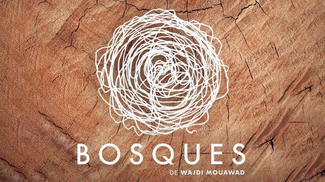 Bosques o el interminable viaje del extravío consciente buscando encontrarnos