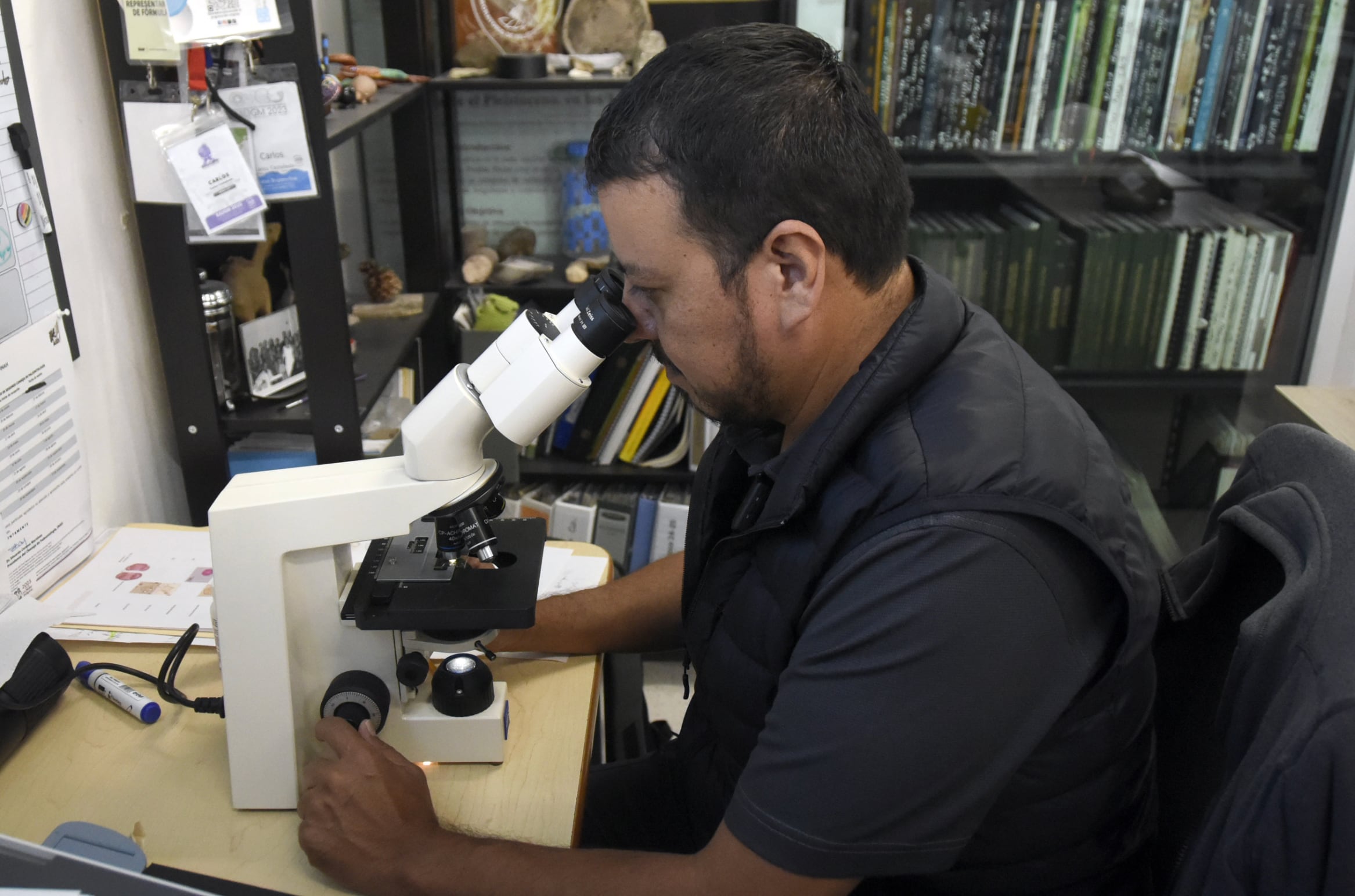 BUAP analiza fósiles marinos, mamuts y polen para reconstruir la historia natural