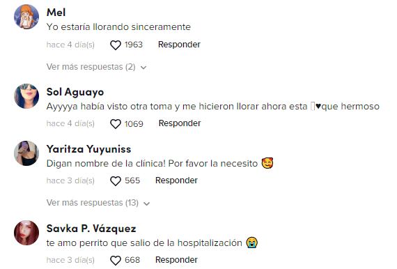 Reacciones al perrito que salió del veterinario tras 22 días internado