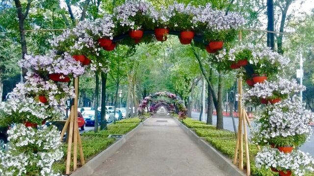 Festival de Flores y Jardines 2025: Fecha, lugar y tema para no perdértelo en la CDMX
