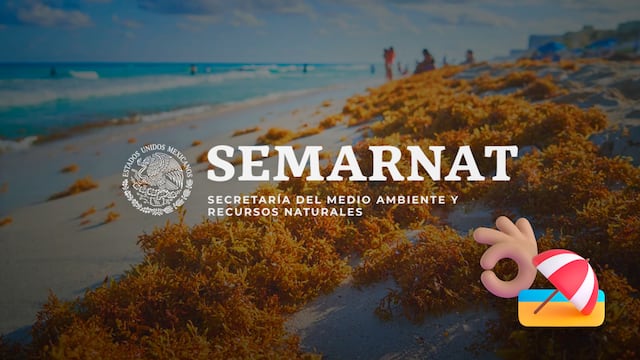 Semarnat advierte de sargazo en playas de México