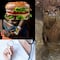 ¿Qué se celebra el 28 de mayo? Hoy es Día de la Hamburguesa, Día Internacional del Juego, Día Mundial del Perro Sin Raza y más efemérides