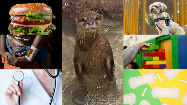 Efemérides del 28 de mayo