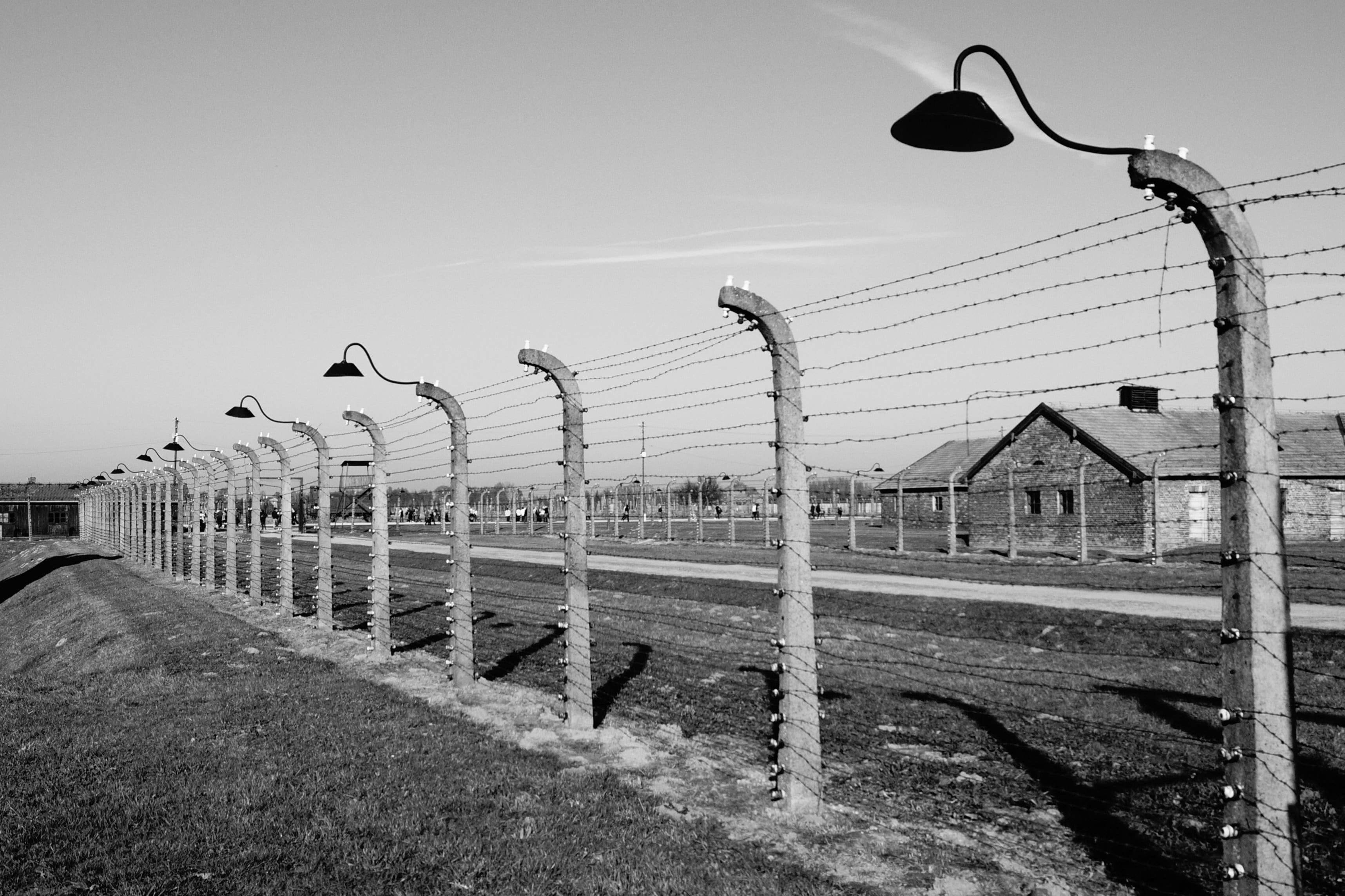 Este 27 de enero es el Día Internacional en Memoria de las Víctimas del Holocausto