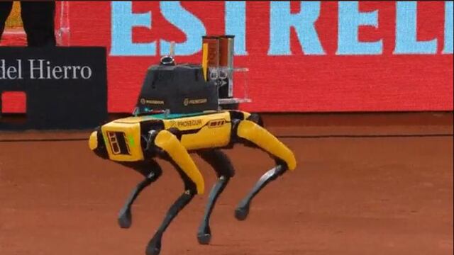 El tenis estaría planeando sustituir a los recogepelotas por robots.