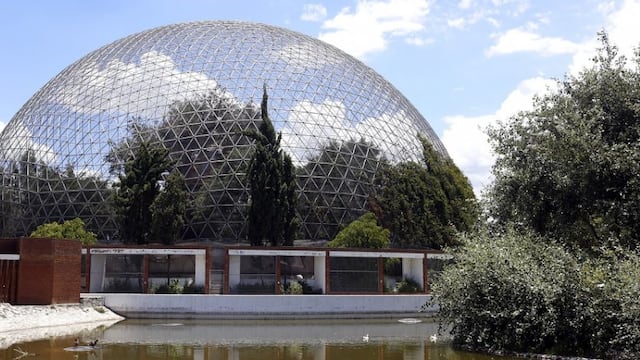 Durante el gobierno de Moreno Valle desaparecieron varios ejemplares del aviario
