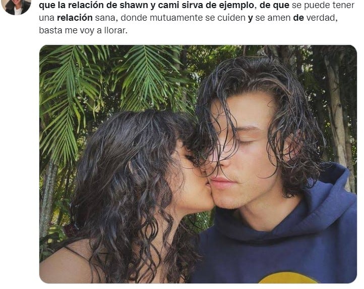 Memes sobre la ruptura de Camila Cabello y Shawn Mendes