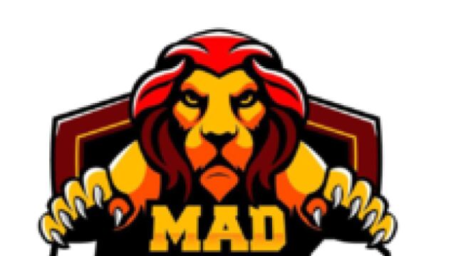 MAD Lions