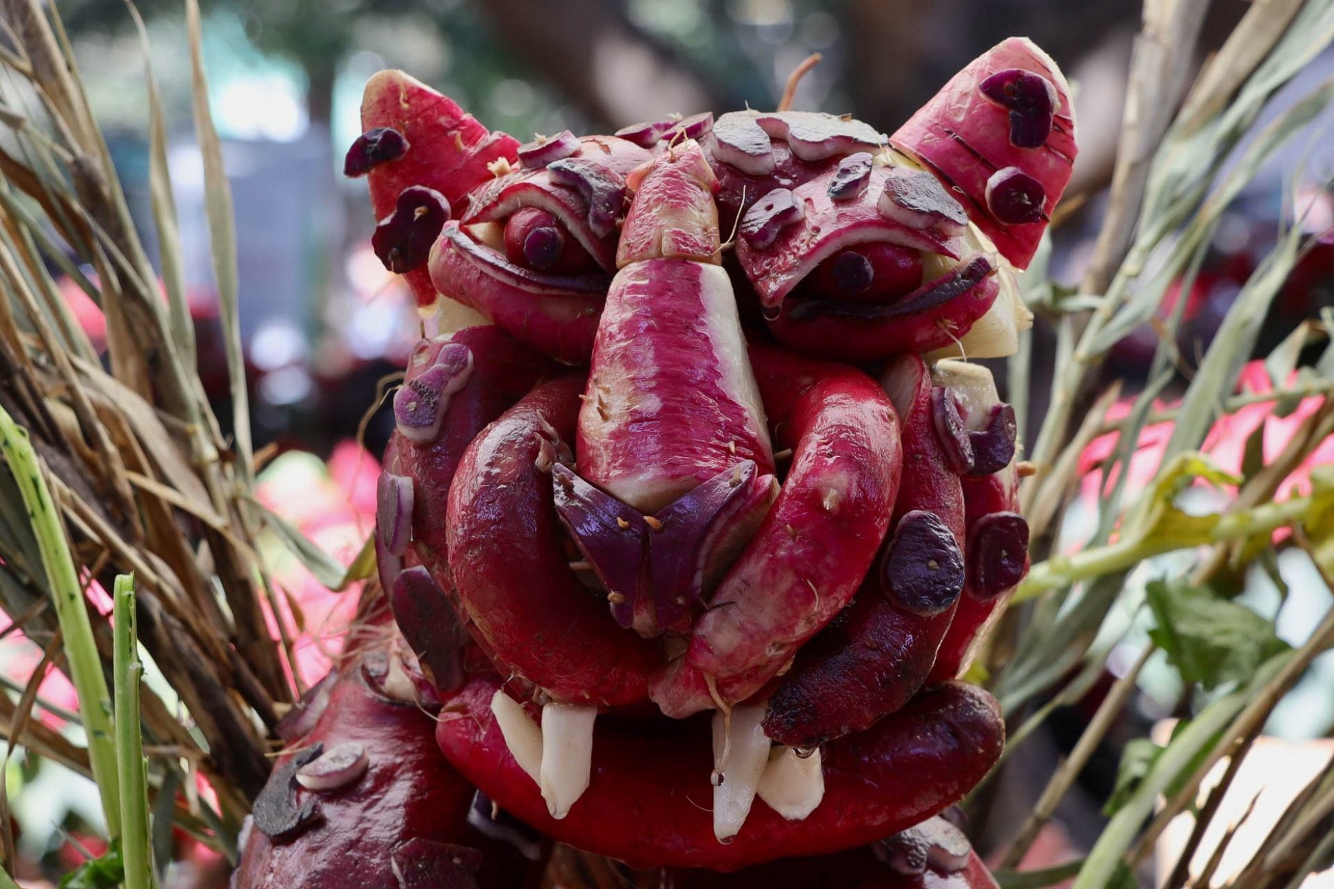 Noche de Rábanos en Oaxaca