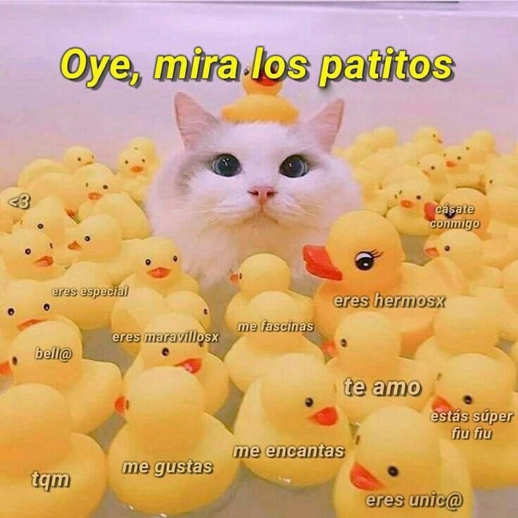 Memes de San Valentín para enviarle a tu pareja