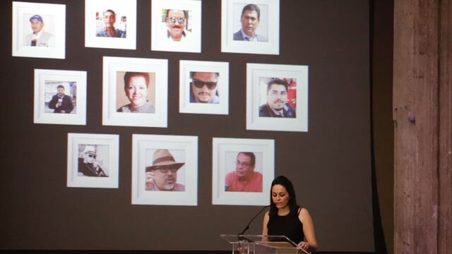 Ana Ruelas, directora de Artículo 19