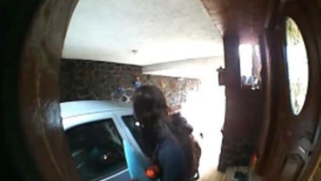 Fólder de Fernanda Calderón