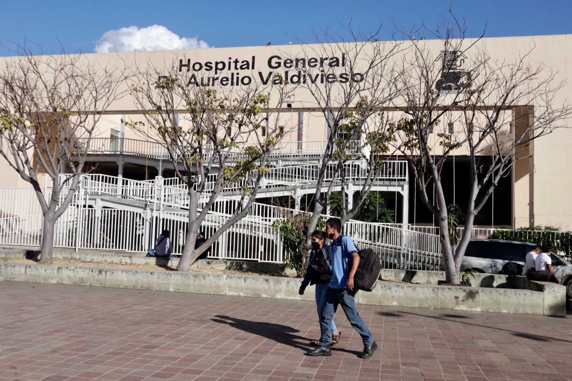 Rabia en Oaxaca. Muere niño contagiado