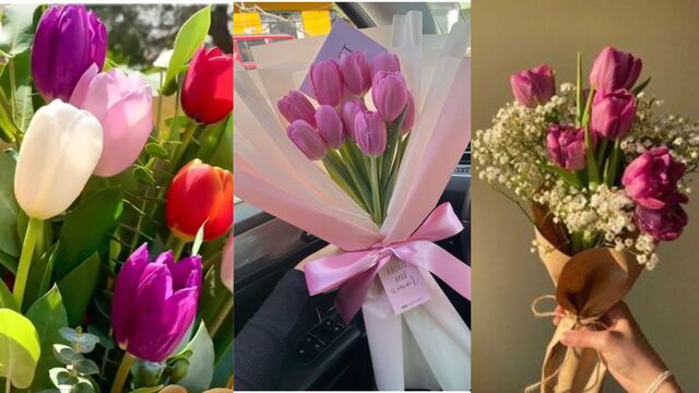¿Qué flores se regalan el viernes 13 de diciembre? El significado de los tulipanes