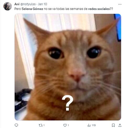 Memes por el retiro de Selena Gómez
