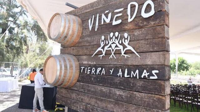 Viñedo “Tierra y Almas” en Hidalgo