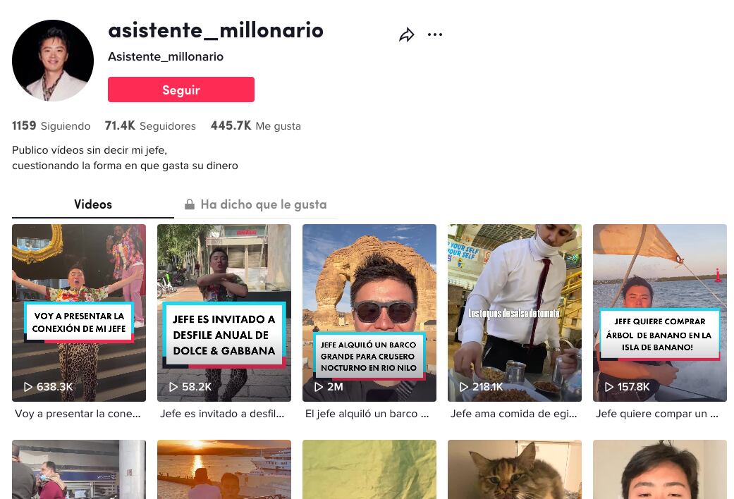 Perfil TikTok