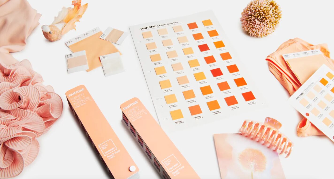 Peach Fuzz, color del 2024