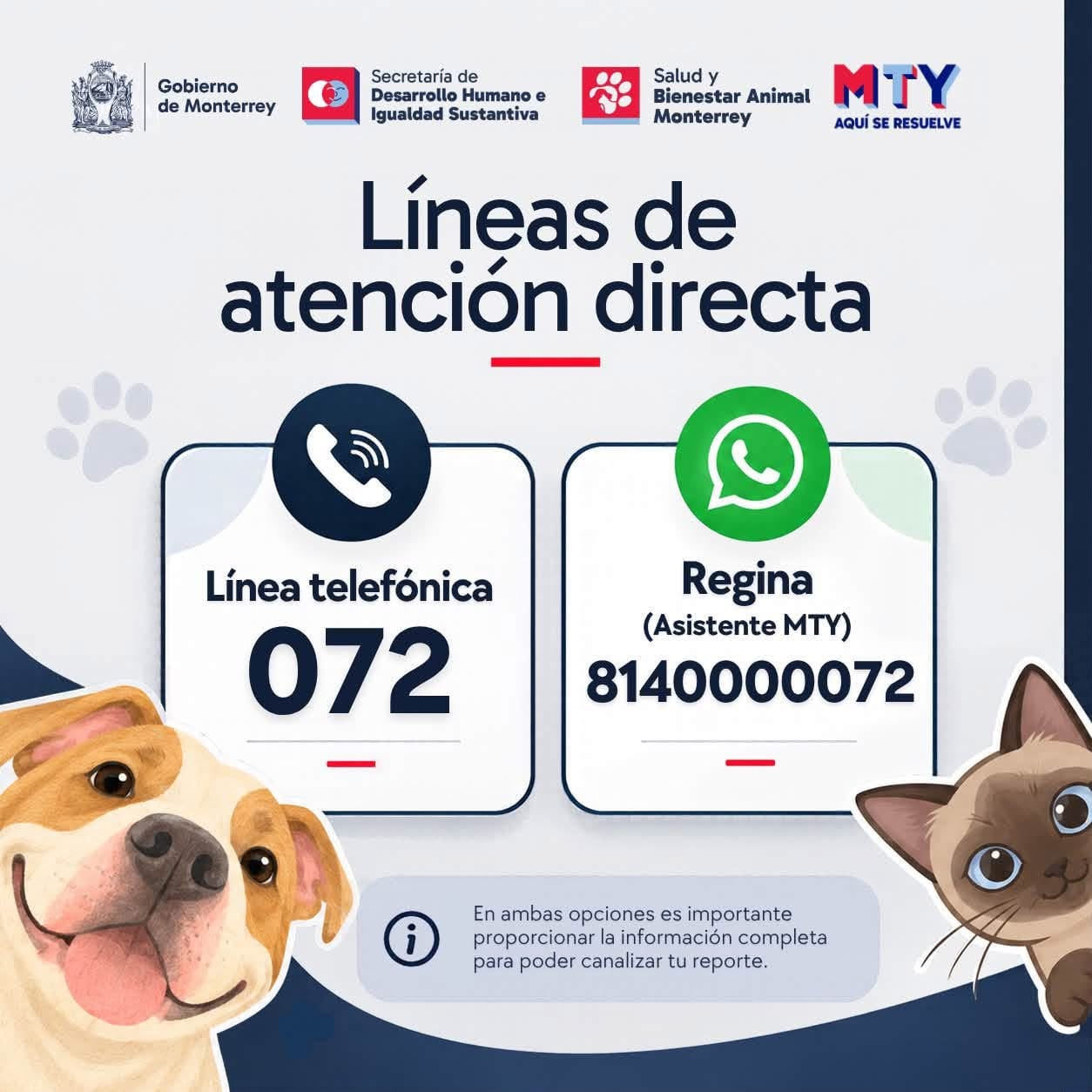 Bienestar animal en Monterrey: teléfono 072 y WhatsApp para reportes