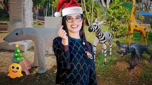 Geraldine Ponce genera polémica con su costosa decoración navideña: los osos “cricosos” dividen opiniones