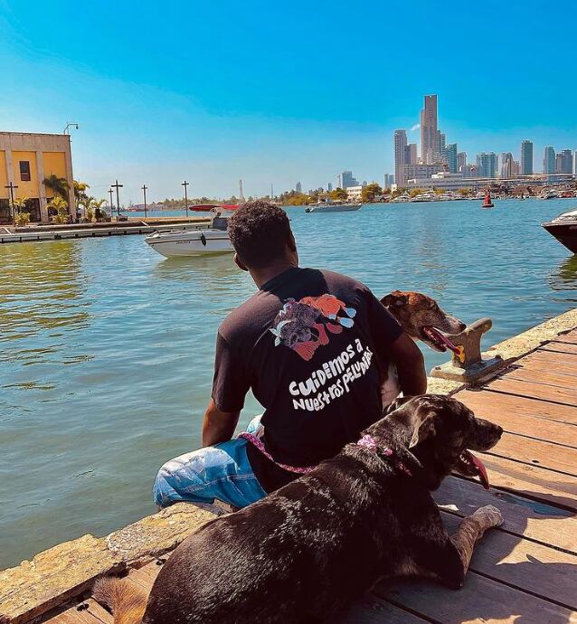 Hombre sin hogar que celebró a sus perritos