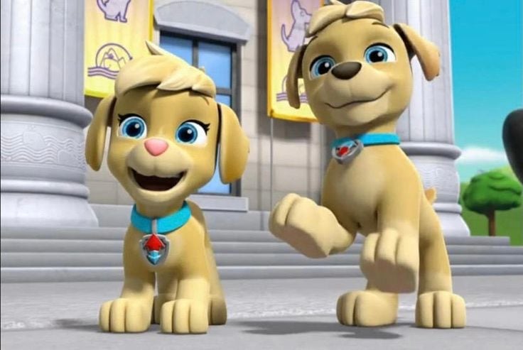 Fondos de pantalla de Ella, gemela de Tuck de los nuevos cachorros de Paw Patrol