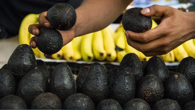 El kilo de aguacate ya alcanzó los 130 pesos