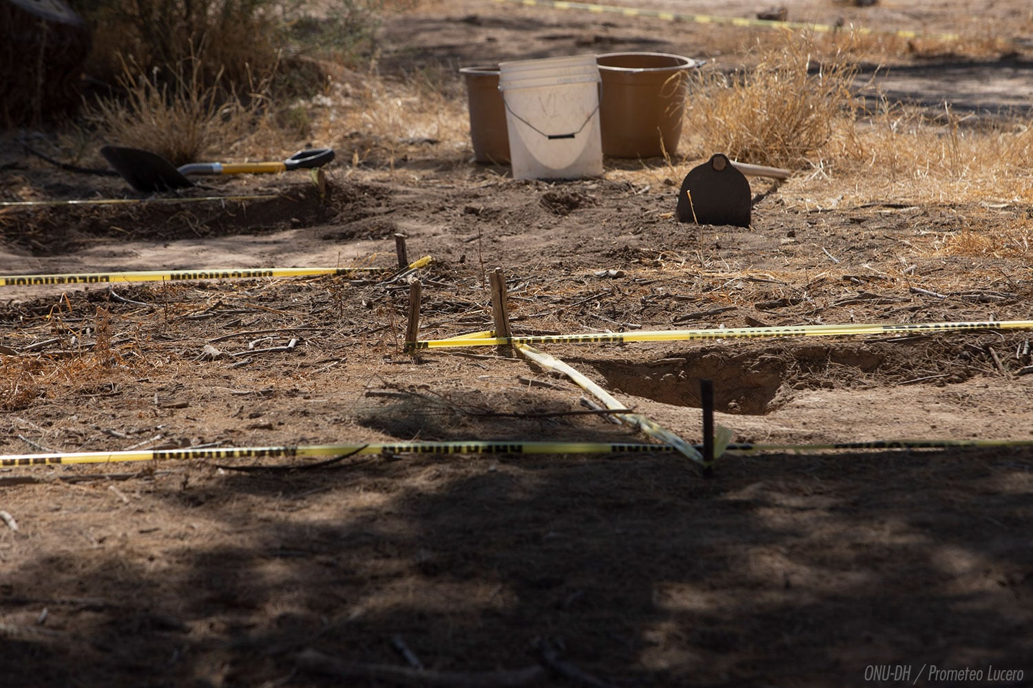 Búsqueda de desaparecidos en campo