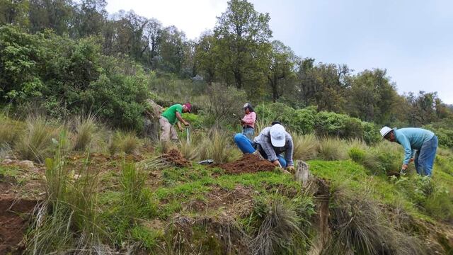 Campaña Sembrando Vida 2024 en Texcoco