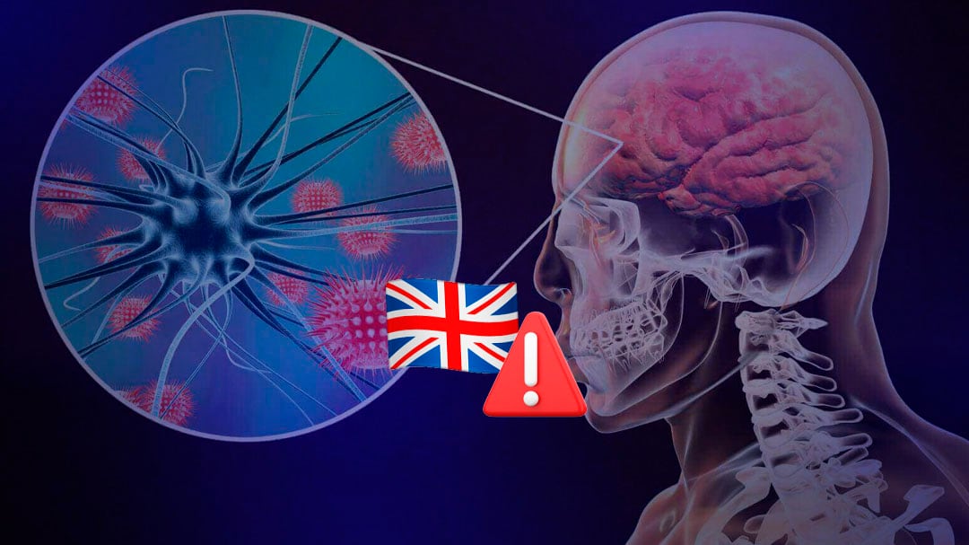 Reino Unido en alerta: evalúan confinamiento en mayo por casos de meningitis