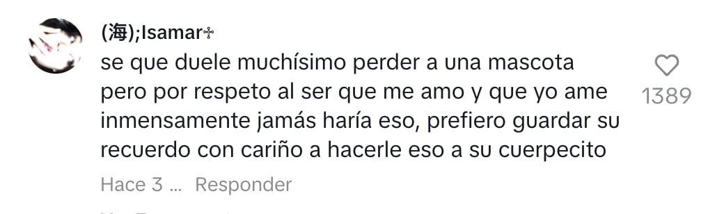 Usuarios reaccionan a gato convertido en almohada