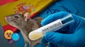 Hantavirus en crucero: tres muertos y revisión de OMS junto a España